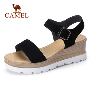 Camel/骆驼 A821536118