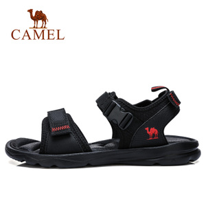 Camel/骆驼 A822162482
