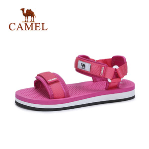 Camel/骆驼 A82300615