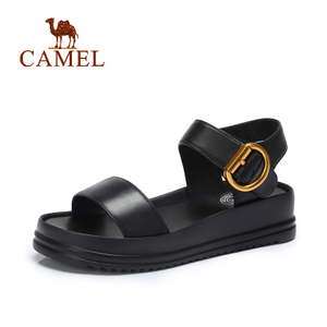 Camel/骆驼 A82521611