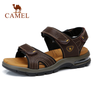 Camel/骆驼 A822287842