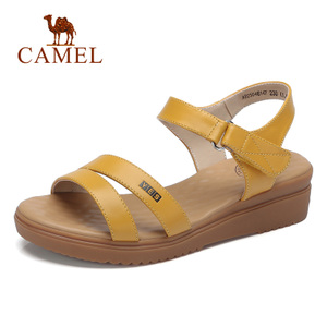 Camel/骆驼 A825046147