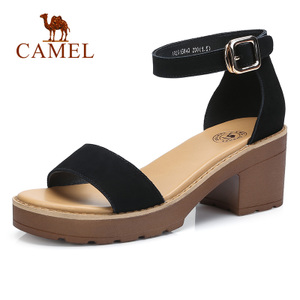 Camel/骆驼 A82515643