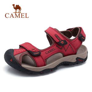 Camel/骆驼 A82309615