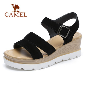 Camel/骆驼 A821536117