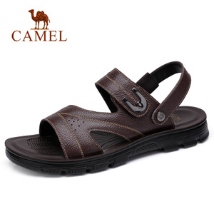 Camel/骆驼 A822287722