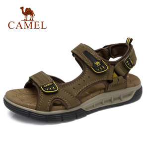 Camel/骆驼 A822344792