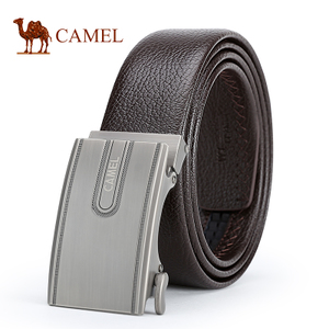 Camel/骆驼 DF193472-02