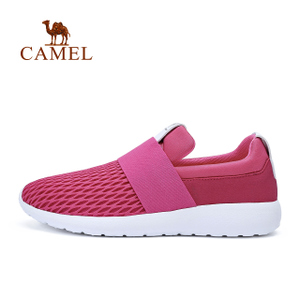 Camel/骆驼 Y71335608