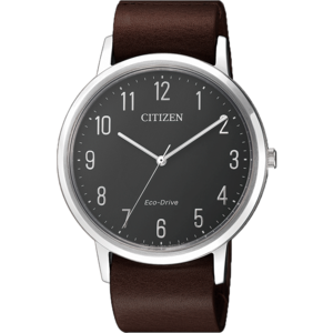 Citizen/西铁城 BJ6501-01E